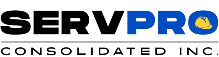 SERVPRO Consolidated Inc.